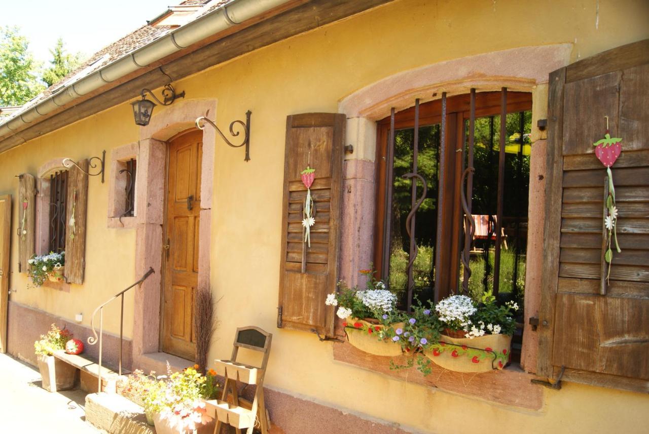 Gîte du Thalala Bernardvillé Extérieur photo