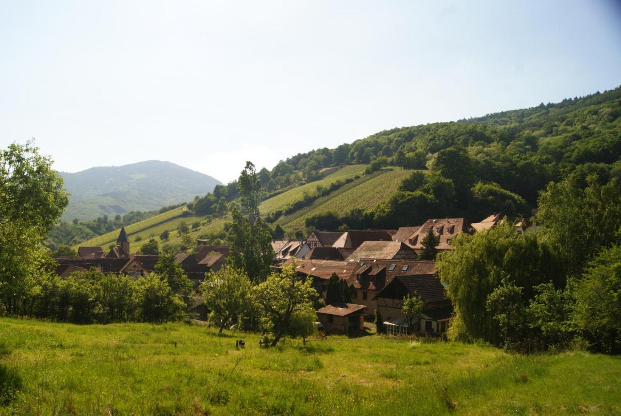 Gîte du Thalala Bernardvillé Extérieur photo